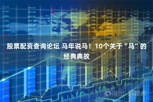 股票配资查询论坛 马年说马！10个关于“马”的经典典故
